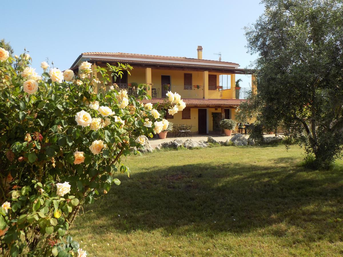 Villa Sorrentina Alghero Kültér fotó