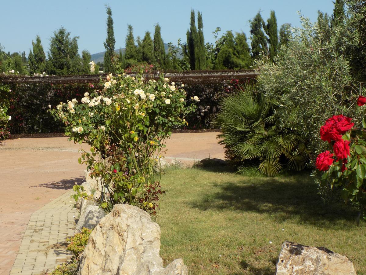 Villa Sorrentina Alghero Kültér fotó